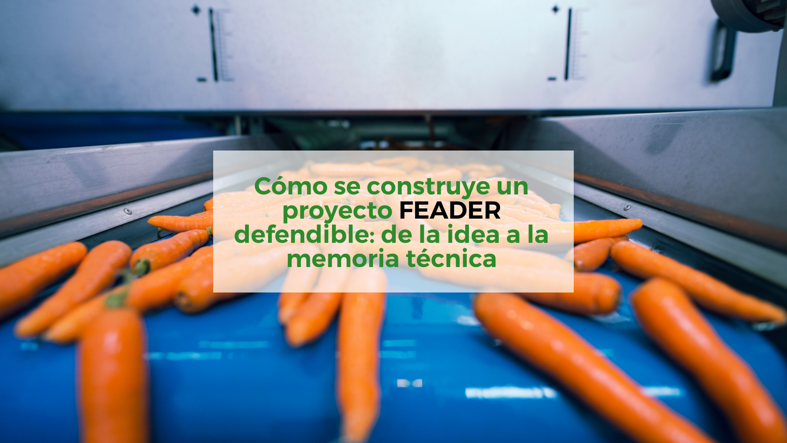 Cómo-se-construye-un-proyecto-FEADER-defendible:-de-la-idea-a-la-memoria-técnica